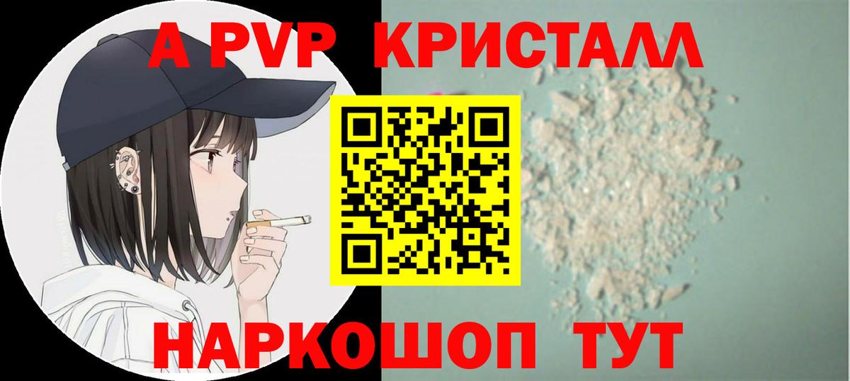 A PVP СК Сокол