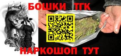 крисы Моздок