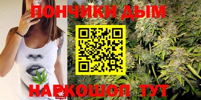 крисы Моздок