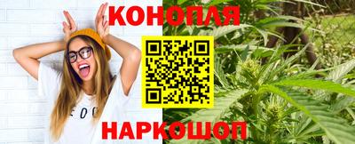 крисы Моздок