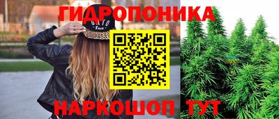 индика Нарткала