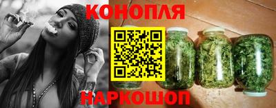 крисы Моздок