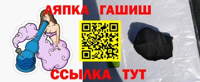 крисы Моздок