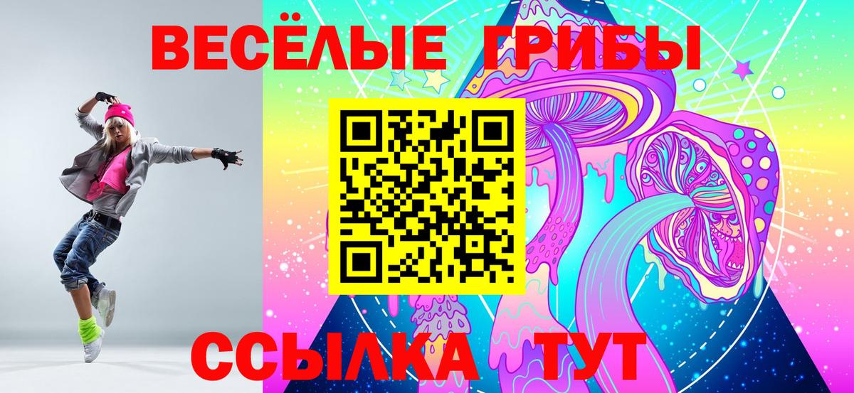 Псилоцибиновые грибы MAGIC MUSHROOMS  Вход с VPN  Сокол  Псилоцибиновые грибы мухоморы 