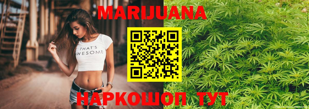 Марихуана сатива Сокол